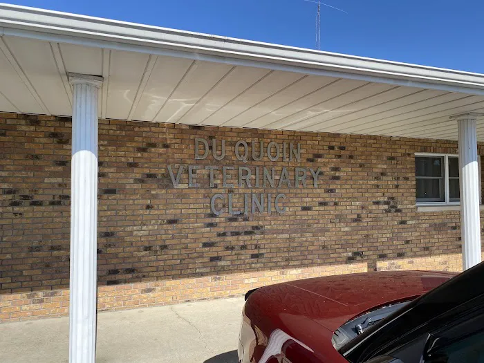 Du Quoin Veterinary Clinic Picture 6