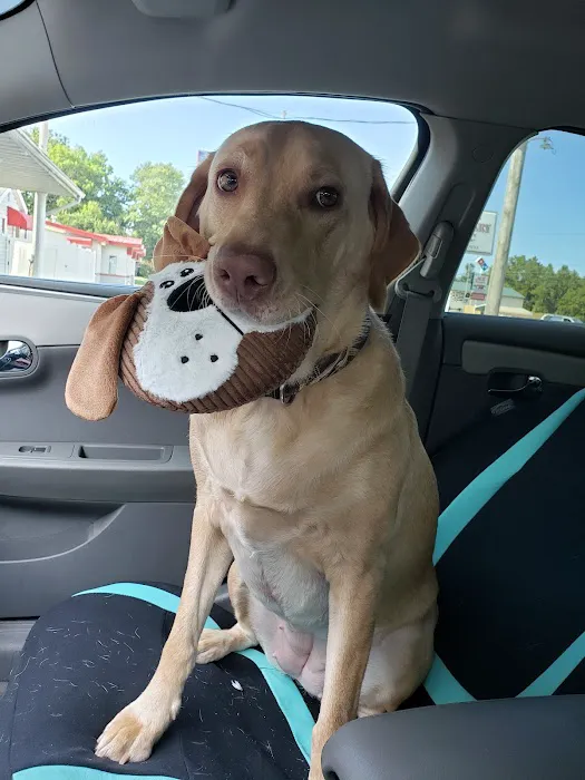 Du Quoin Veterinary Clinic Picture 8