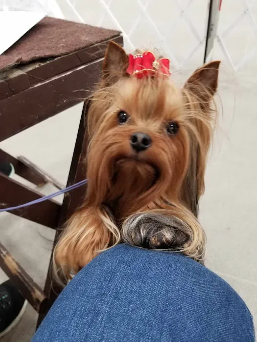 Sparta Animal Clinic Picture 2