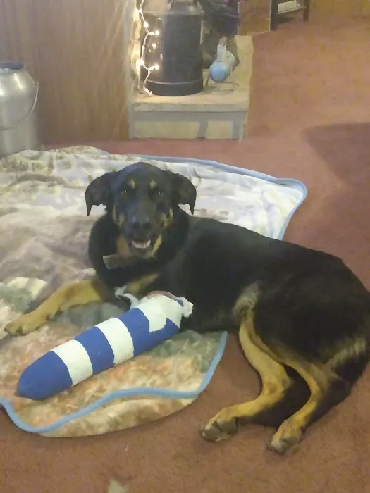 Sparta Animal Clinic Picture 3