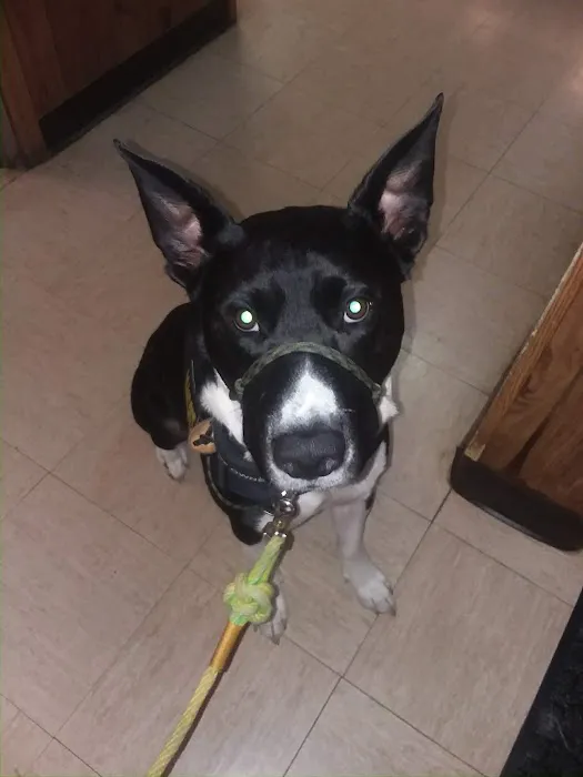 Sparta Animal Clinic Picture 5