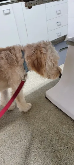 Sparta Animal Clinic Picture 6