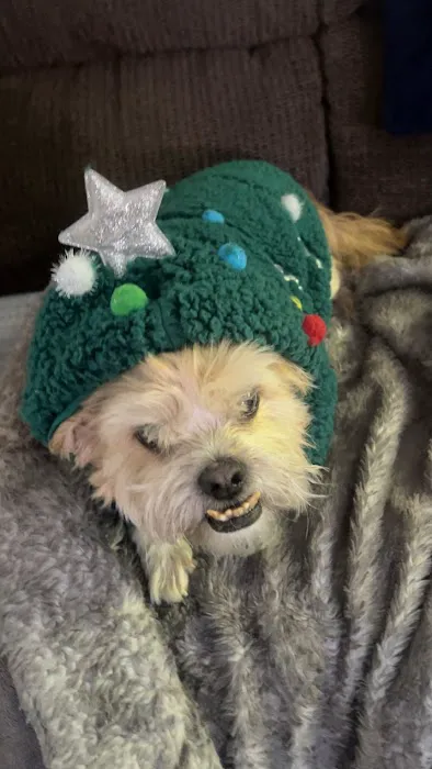 LF Veterinary Services Picture 1