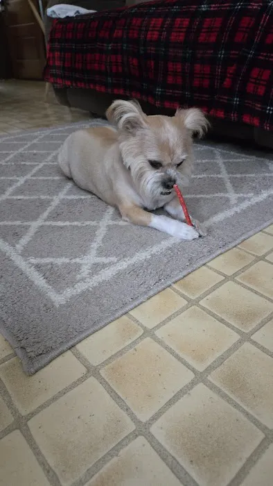 LF Veterinary Services Picture 3