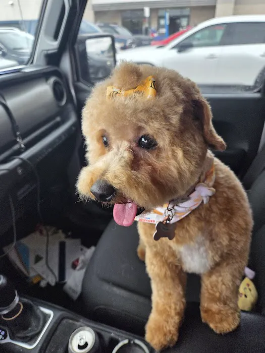 LF Veterinary Services Picture 10