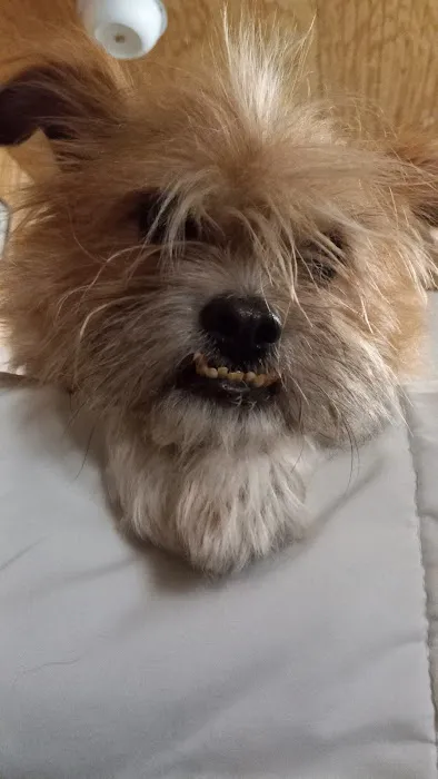 Mon-Clair Animal Hospital Picture 2