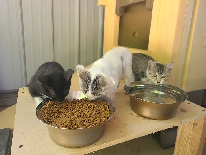 Mon-Clair Animal Hospital Picture 1