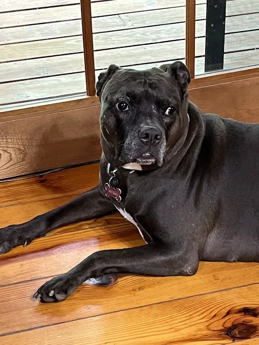 Mon-Clair Animal Hospital Picture 3