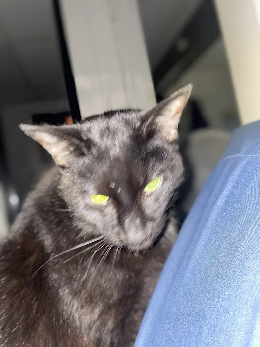 Mon-Clair Animal Hospital Picture 4