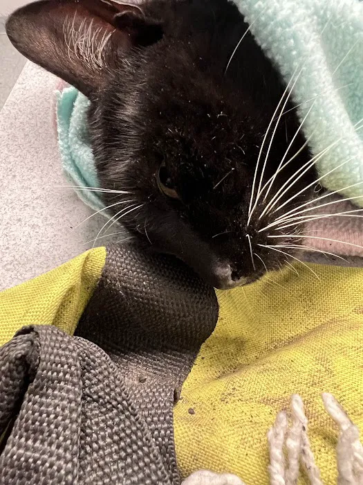 Mon-Clair Animal Hospital Picture 5