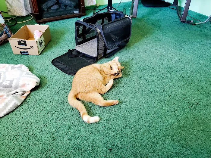 Mon-Clair Animal Hospital Picture 7