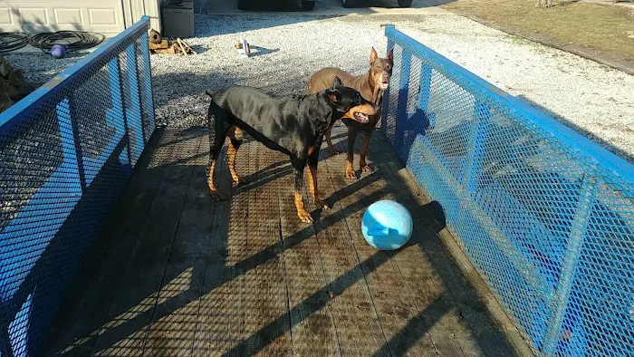 Mon-Clair Animal Hospital Picture 6