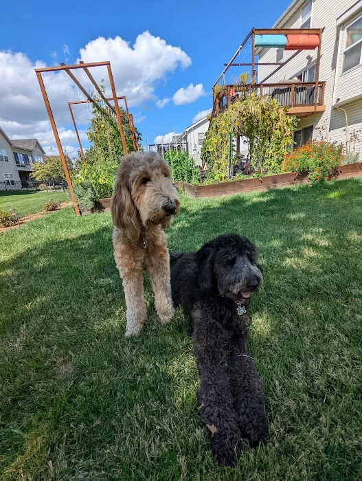 Mon-Clair Animal Hospital Picture 8