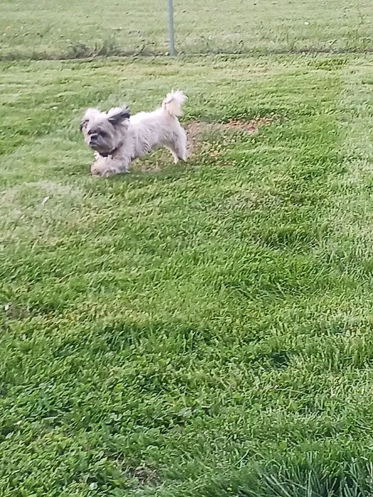 Mon-Clair Animal Hospital Picture 10