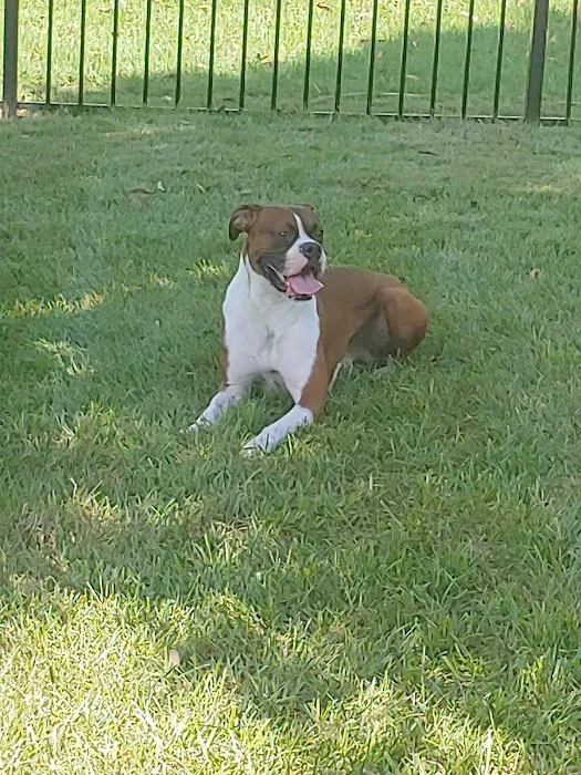 Mon-Clair Animal Hospital Picture 9