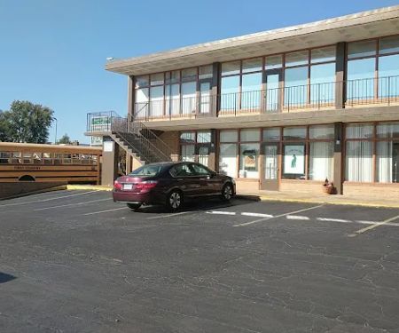 St. Louis Cat Clinic