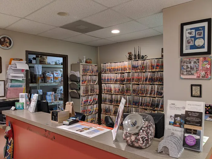 St. Louis Cat Clinic Picture 4