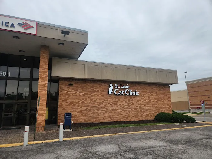 St. Louis Cat Clinic Picture 6