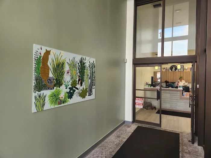 St. Louis Cat Clinic Picture 10