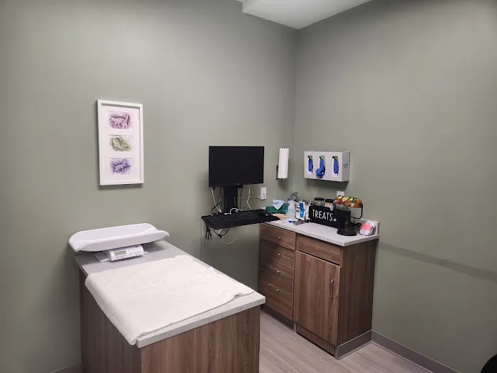 St. Louis Cat Clinic Picture 9