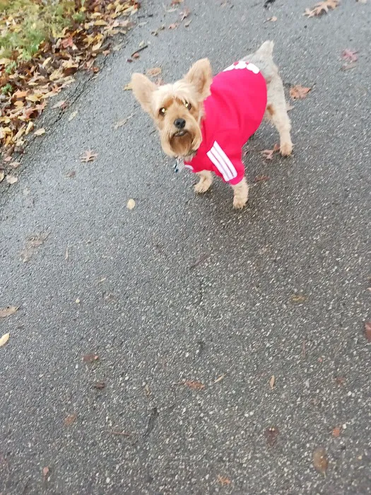 Jewell Animal Hospital Picture 9