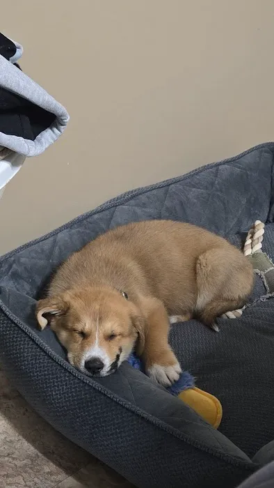 Jewell Animal Hospital Picture 8