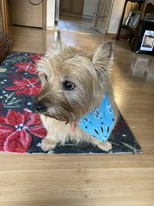 Watson Road Veterinary Clinic Picture 2