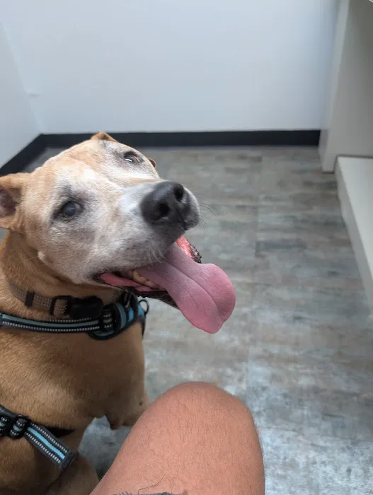 Watson Road Veterinary Clinic Picture 1