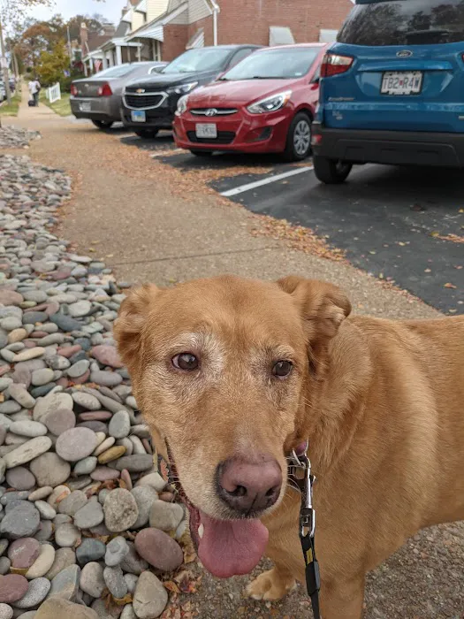 Watson Road Veterinary Clinic Picture 4