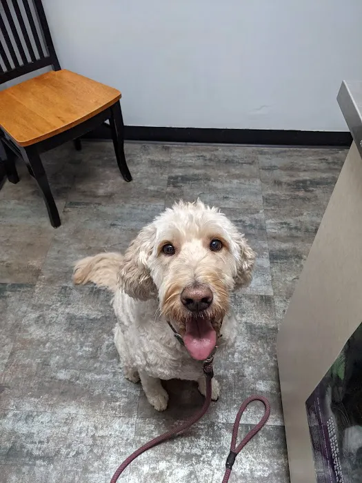 Watson Road Veterinary Clinic Picture 3