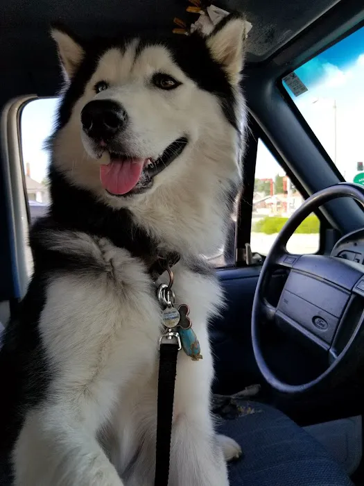 Watson Road Veterinary Clinic Picture 7