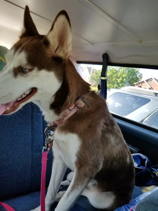 Watson Road Veterinary Clinic Picture 6