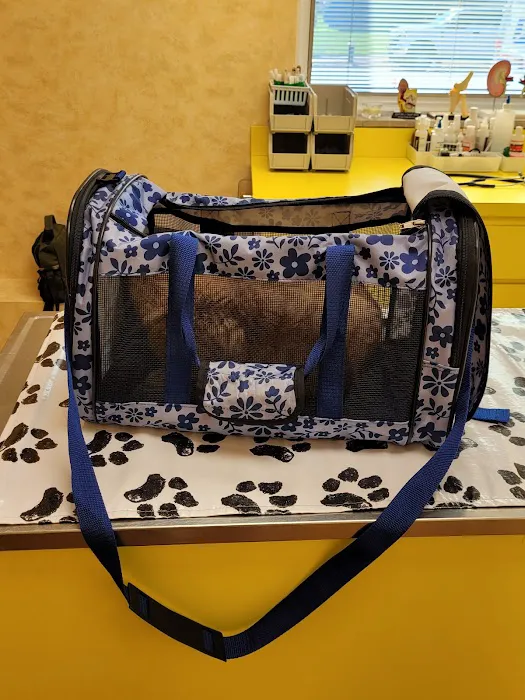 St Louis Hills Veterinary Clinic Picture 4