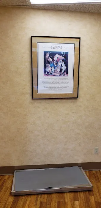 St Louis Hills Veterinary Clinic Picture 2