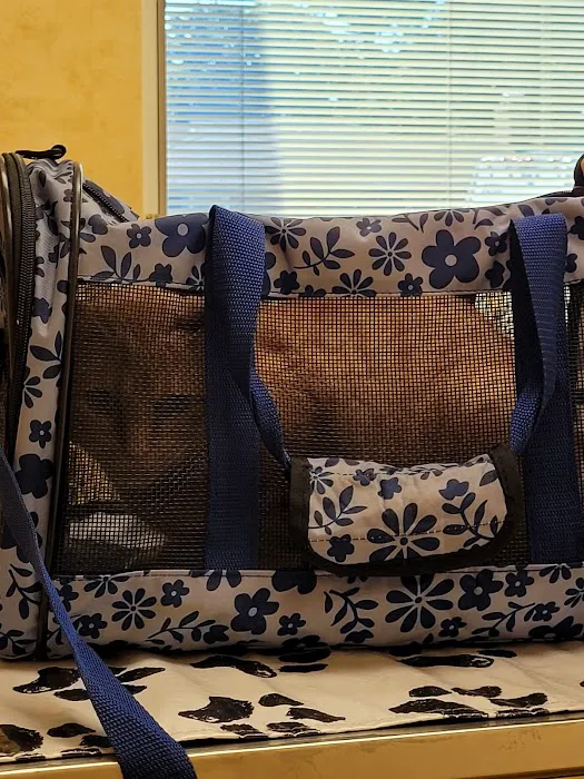 St Louis Hills Veterinary Clinic Picture 3