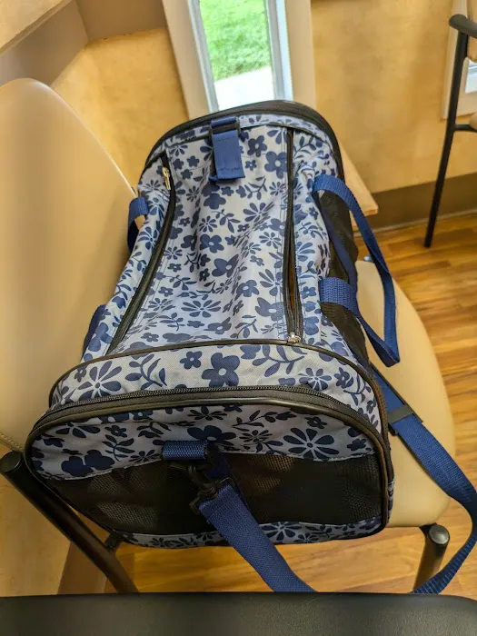 St Louis Hills Veterinary Clinic Picture 5