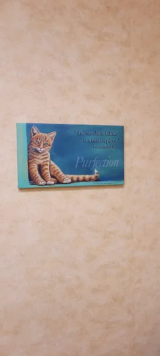 St Louis Hills Veterinary Clinic Picture 6