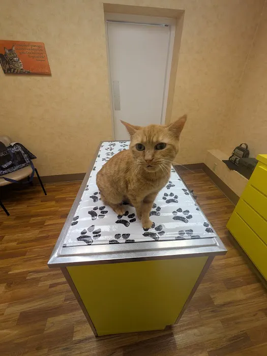 St Louis Hills Veterinary Clinic Picture 7