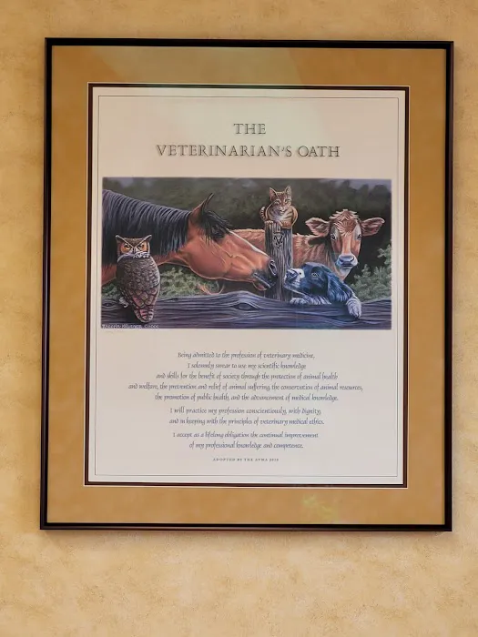 St Louis Hills Veterinary Clinic Picture 9