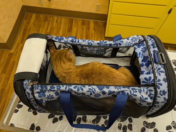 St Louis Hills Veterinary Clinic Picture 10