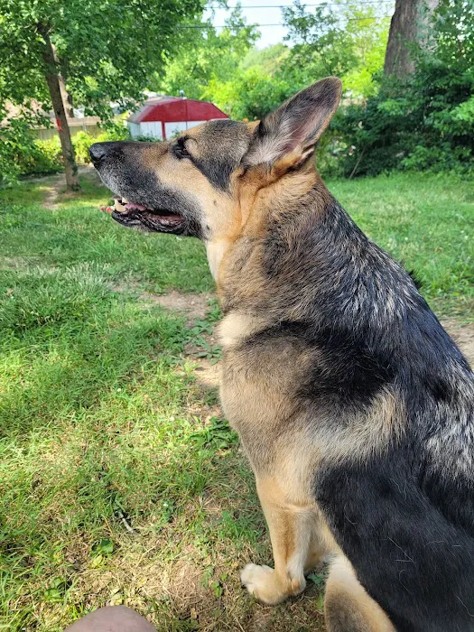 Lemay Animal Hospital Inc Picture 1