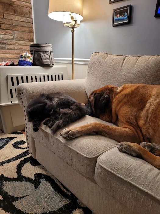 Lemay Animal Hospital Inc Picture 8