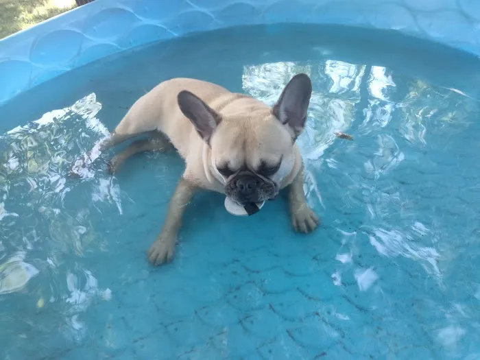 Lemay Animal Hospital Inc Picture 10