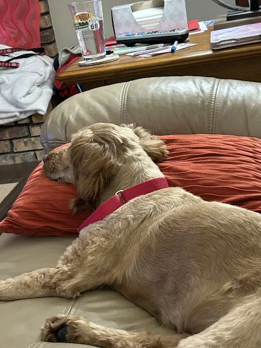 Affton Veterinary Clinic Picture 1