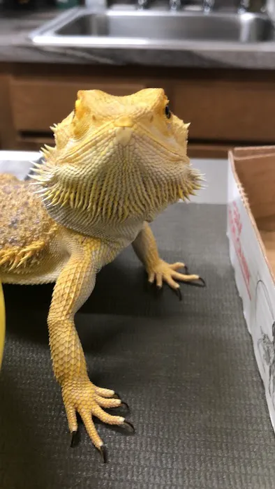 Affton Veterinary Clinic Picture 7