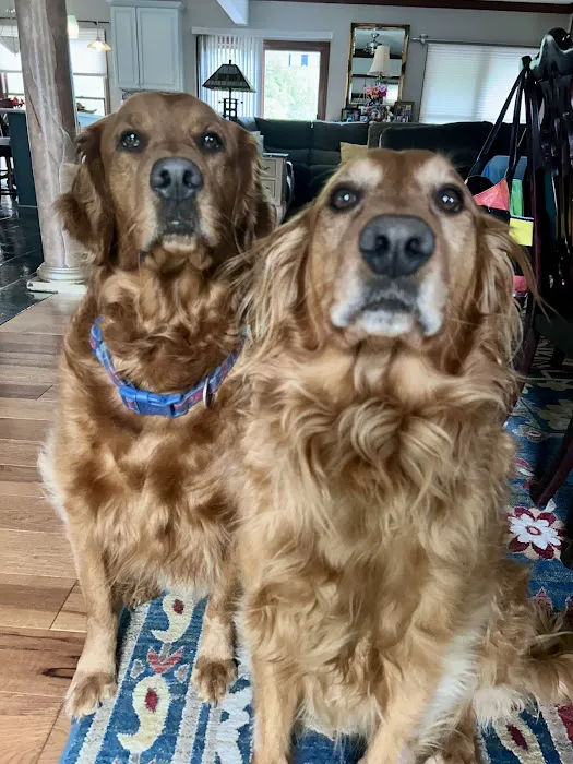 MacKenzie Pointe Animal Hospital Picture 1