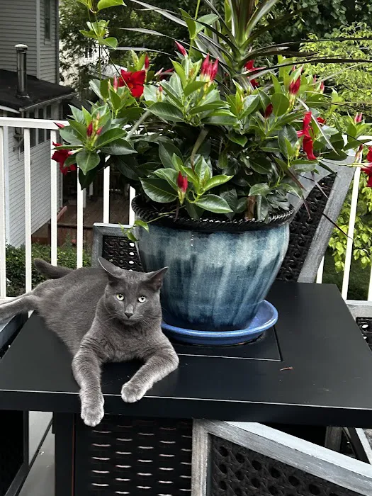 MacKenzie Pointe Animal Hospital Picture 2