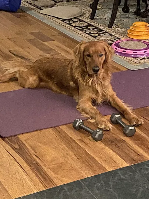 MacKenzie Pointe Animal Hospital Picture 4