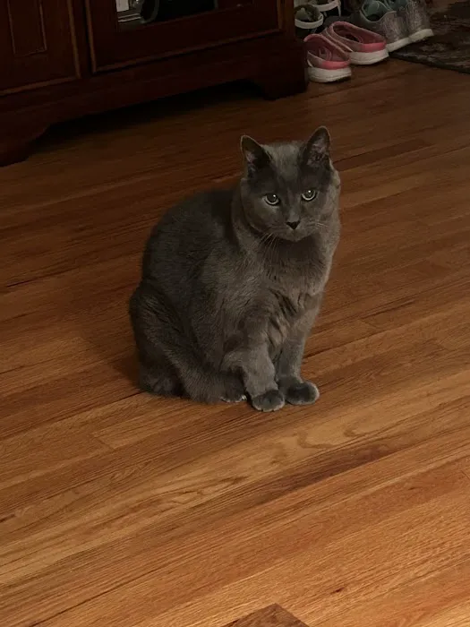 MacKenzie Pointe Animal Hospital Picture 3