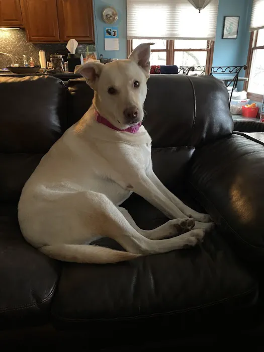 MacKenzie Pointe Animal Hospital Picture 5